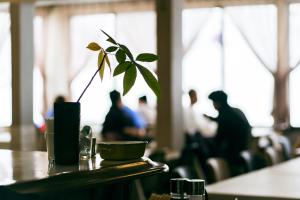 a potted plant sitting on top of a table at 北国ロッヂ in Otari