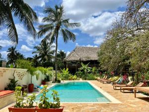 a swimming pool in front of a resort with palm trees at Afro Divers Lodge in Miperani