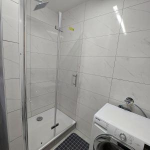 a bathroom with a shower and a washing machine at Ruheoase im Südschwarzwald in Albbruck