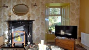 a living room with a television and a fireplace at Shannonview Country House in Labasheeda