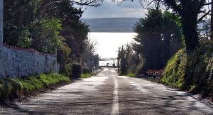 an empty road with trees on either side of it at Shannonview Country House in Labasheeda +6 photos
