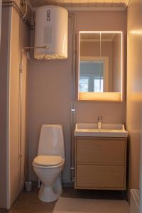 a bathroom with a toilet and a sink and a mirror at Secluded Lakehouse in Falun