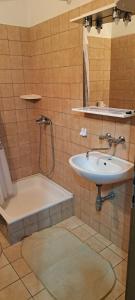 a bathroom with a sink and a shower and a tub at Apartments Stanko in Sumartin +44 photos
