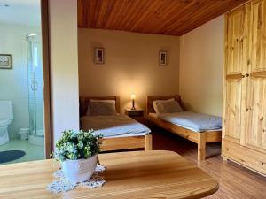 a room with two beds and a table with a plant at Chata Línia in Kokava na Rimavica