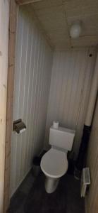 a small bathroom with a white toilet in a room at Røisheim in Tyinkrysset +17 photos
