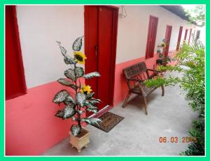 a plant in front of a building with a red door at Hospedaria Praia e Sol in Fortaleza