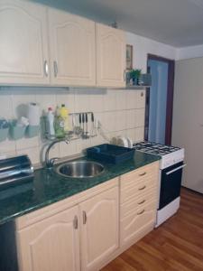 a kitchen with a sink and a stove at Rekreační chata Kocába in Štěchovice