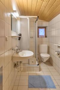 a bathroom with a sink and a toilet at Haus Muster - Hochmontafon in Partenen +12 photos