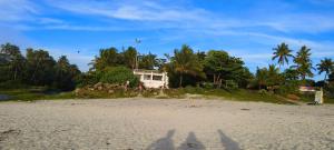 a house on a sandy beach with trees in the background at Funky Art Beach House in Alleppey