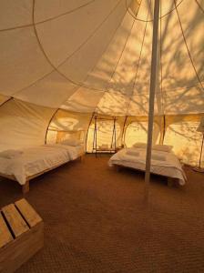 two beds in a tent in a room at Desert HoM by GLOW in Naẖal Shittim