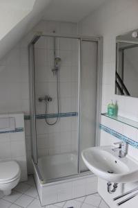 a bathroom with a shower and a toilet and a sink at Landhaus Behrenwalde in Weitenhagen +17 photos