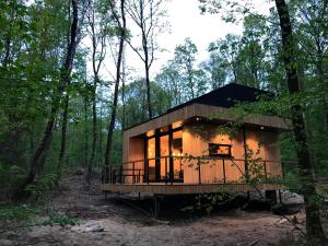 a cabin in the woods with the lights on at Forest Cube in Oignies