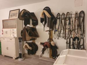 a wall with a bunch of hats and gloves hanging on a wall at Bio-Bauernhof, Pferdehof Gräser in Viehberg +31 photos