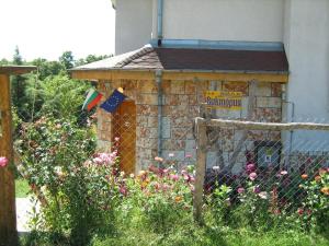 Zahrada ubytování Villa Victoria