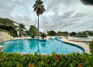 ein großer Swimmingpool mit einer Palme im Hintergrund in der Unterkunft CONDOMINIO LAGUNA CLUB "Amalfi" in Cartagena de Indias