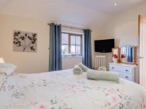 a bedroom with a bed and a window and a tv at 2 Bed in Norwich oc-64075 in East Harling