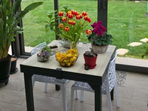 a table with potted plants and flowers on it at Chambre proche circuit 24h du mans in Spay
