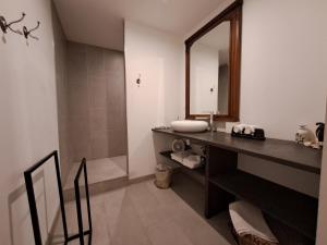 a bathroom with a sink and a mirror and a shower at Coté Cour Bischwihr Colmar 2 in Bischwihr