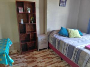 a bedroom with a bed and a book shelf at catalina n3 in Neuquén