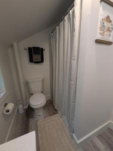 a bathroom with a toilet and a shower curtain at Apartment 1 in Rockingham