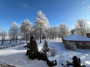 a snow covered yard with a barn and trees at Atpūtas komplekss Cerības in Dauguļi