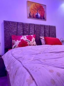 a purple bedroom with a large bed with pink pillows at AmkGroup in Dakar +7 photos