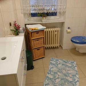 a bathroom with a sink and a toilet and a window at Maja in Guhrow +26 photos