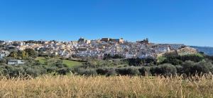 a view of the city from the hill at La Piana da Simonetta in Ferrandina
