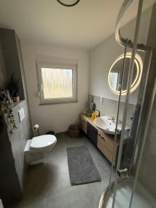 a bathroom with a toilet and a sink and a shower at Pro Home FeWo Hiddenhausen in Hiddenhausen