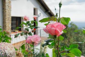 a group of pink roses in front of a house at Casa Rural Arbillas in Arenas de San Pedro