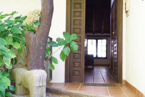 a hallway of a house with a tree at Casa Rural Arbillas in Arenas de San Pedro
