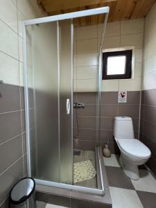a shower stall in a bathroom with a toilet at Zaovinski Raj2 Tara in Konjska Reka +14 photos