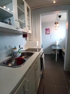 a kitchen with a sink and a counter at Blue House B&B in Reykjavík +48 photos