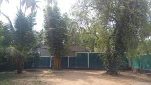 two palm trees in front of a fence at Ranga's house in Minuwangoda