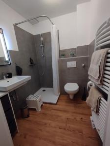 a bathroom with a shower and a toilet and a sink at Frisch saniertes Apartment am Falderapark in Neumünster +21 photos