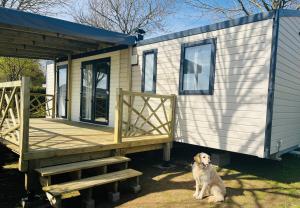 a dog sitting in front of a tiny house at Camping Le Roc in Vairé +7 photos