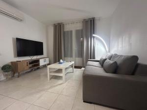 a living room with a couch and a flat screen tv at Gite de la Moulette in Bergerac