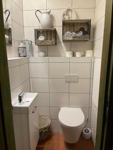 a small bathroom with a toilet and a sink at Romantischer Zirkuswagen in Edemissen