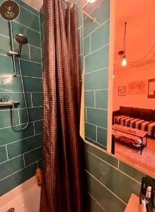 a bathroom with a tub and a shower curtain at La Cachette du Roi in Fontainebleau