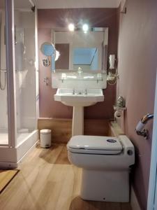 a bathroom with a sink and a toilet and a mirror at Chambre d'hôtes au manoir proche mer in Gamaches