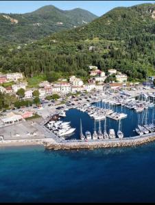 an aerial view of a marina with boats in the water at Ileana-Marina studio 1 in Benitses +6 photos