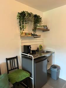 a small kitchen with a sink and a counter at L'Agolum - B&B Baisy-Thy in Genappe