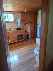 a bathroom with a toilet and a sink at Casa Campo in Lago Ranco +9 photos