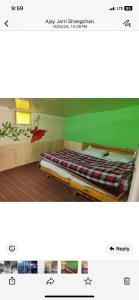 a bedroom with a bed with a green wall at Classic hostel in Katra