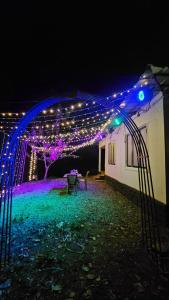 a lit up arch with lights on a building at night at Munnar Clubhouse in Anachal