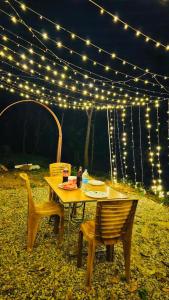 a table and chairs under a string of lights at Munnar Clubhouse in Anachal