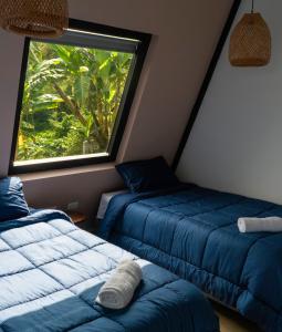 two beds in a room with a window at AREWÁ Biohabitat in Buenavista