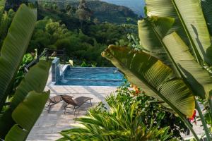 a pool with chairs and plants and a mountain at AREWÁ Biohabitat in Buenavista