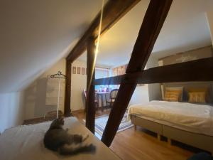 a cat laying on a bed in a bedroom at Feel-Harmonia w Nowym Kawkowie in Nowe Kawkowo
