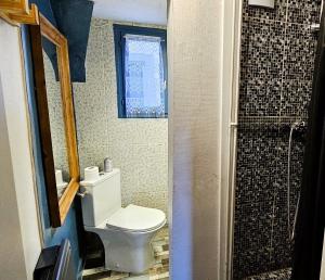 a bathroom with a toilet and a shower at La cachette de la Reine in Fontainebleau